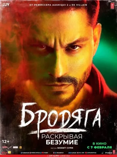  Бродяга: Раскрывая безумие 